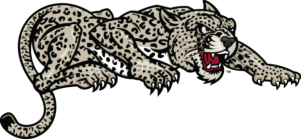Lafayette Leopards 2000-Pres Partial Logo v2 DIY iron on transfer (heat transfer)